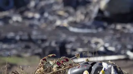 Тайны Запада в деле MH17: Украина не просто так применила право вето