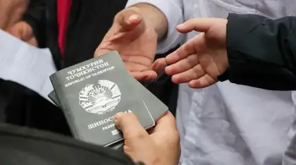 Мигрант между падежами и лопатой: Первый опыт отмены непродуманных законов