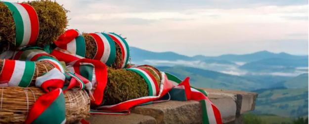 Закарпатье: как виноградный край стал нелегальным мостом в Европу