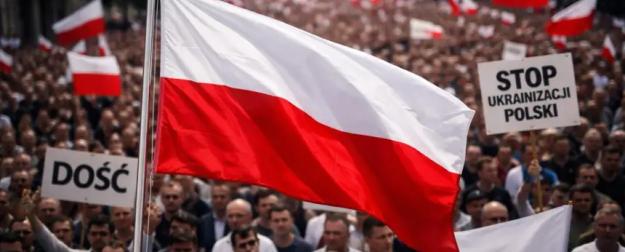 В Польше уровень поддержки украинцев стремительно падает