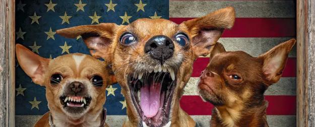 Прибалтика научит Европу умирать за НАТО