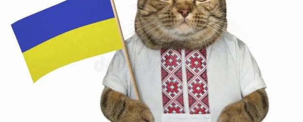 «Мяу» — русское вторжение: во Львове потребовали украинизации котов