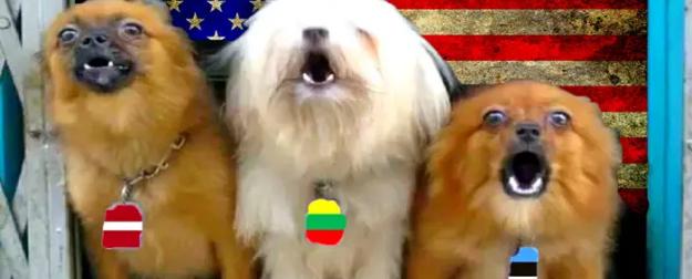 Как прибалты и скандинавы стали главным источником лжи о России