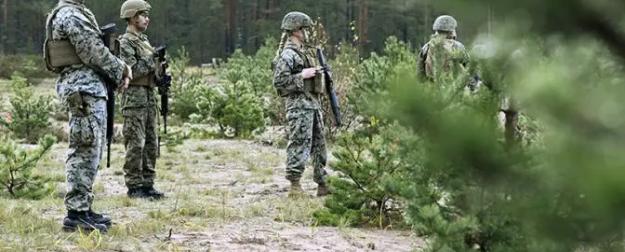 Финны намерены поквитаться с русскими за «Зимнюю войну»