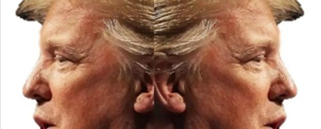 В США появилась новая Фарион. Итог непоследовательности Трампа