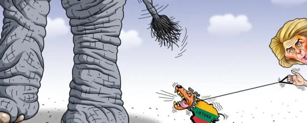 Литва вступила в политически жуткий для себя 2026 год