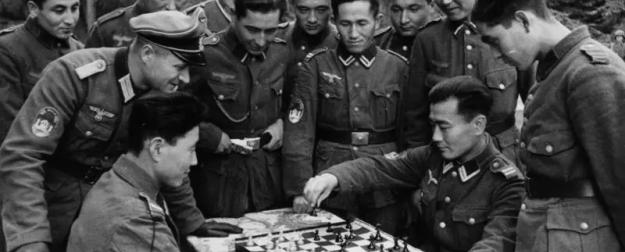 Исламская геополитика Запада: шахматная доска только для одного игрока