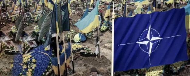 НАТО обещает Зеленскому оружие и деньги, Украине – войну и позор НАТО обещает Зеленскому оружие и деньги, Украине – войну и позор
