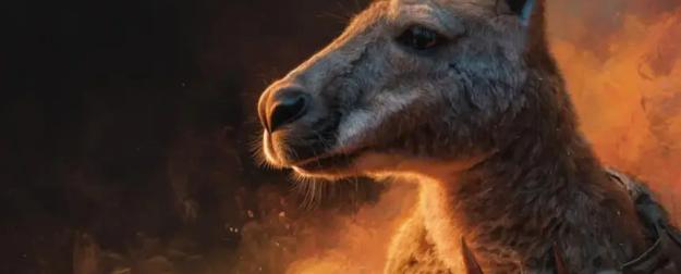 Австралия готовит Украину к смерти