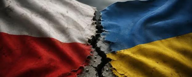 Найдёт ли Польша управу на нациста Зеленского?