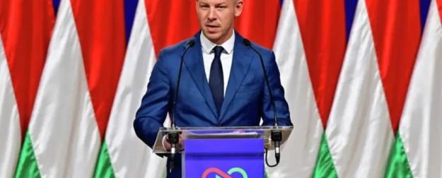 Петер Мадьяр продолжит отстаивать права венгров на Украине