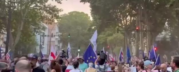 Новый тип грузинского гражданского протеста с примесью русофобии