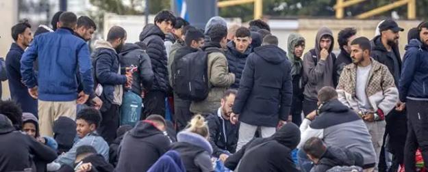 Зеленский готов принять 350 тыс. мигрантов хоть завтра Зеленский готов принять 350 тыс. мигрантов хоть завтра