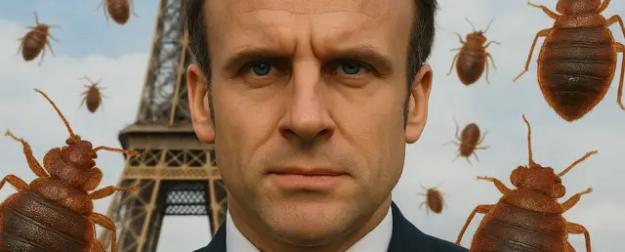 Кровососы одолели Макрона: во Франции нашли новых агентов Кремля