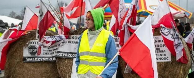 Европейская морковка для украинского осла – яркая снаружи и гнилая внутри