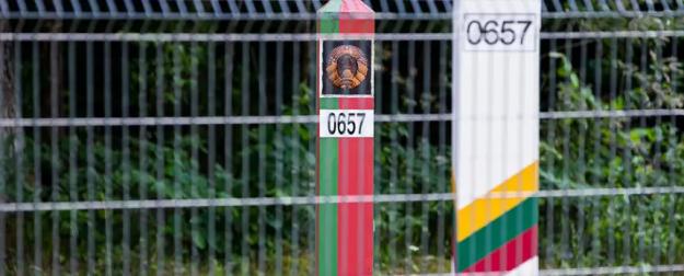 «Балтийский тигр» против Белоруссии: Литва наращивает эскалацию