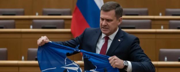 Дипломаты бьют тревогу: референдум в Словении — признак краха единства НАТО