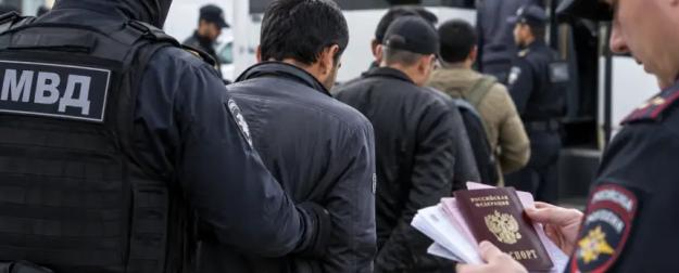 Дальше будет хуже! СК сделал громкое предупреждение о преступности мигранто