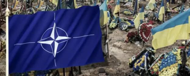 Военный комитет НАТО слетелся на Украину: громкие, но пустые заявления
