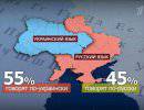 С чего начался политический кризис на Украине?