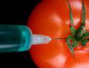 В ГМО продуктах обнаружен ген секретного вируса