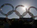 Олимпиада в Сочи: ожидаемый коллапс или провал Кремля