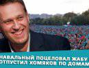 Навальный поцеловал жабу и отпустил хомяков по домам