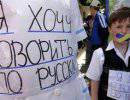 Латвия: русское образование сокращается, как шагреневая кожа Латвия: русское образование сокращается, как шагреневая кожа