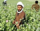 К героиновому рекорду Афганистана: США оставляют у наших границ наркоимперию массового поражения