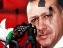Турция оказалась на краю ямы, которую она вырыла для Сирии
