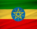 В Эфиопии начались переговоры между правительством Южного Судана и повстанцами