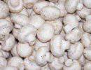 Белорус-agaricus или дыры на границе Таможенного Союза Белорус-agaricus или дыры на границе Таможенного Союза