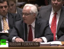 Виталий Чуркин отчитал постпреда США при ООН
