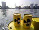 Новая Украина: Ядерная свалка в кабале МВФ