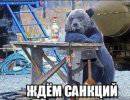 От санкций Запада «русский медведь» станет только сильнее