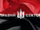 Киевский "Правый сектор" сдал коктейли Молотова, но не оружие