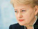 Политическая игра Евросоюза: Роль президента Литвы