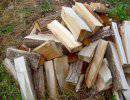 Последний шанс для Украины не топить дровами