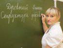 Учителя Дагестана намерены объявить забастовку