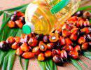 Запрет на пальмовое масло в РФ - первый шаг к продовольственной безопасности?
