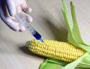 Удар по экономике США: Китай отказывается от поставок американского ГМО в пользу России