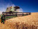 ОАЭ предложили России создать зерновой альянс