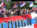 В Сербии прошел массовый митинг в поддержку Донбасса