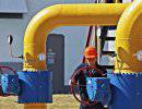 Германия потребовала от Украины не блокировать поставки в Европу газа и нефти из РФ