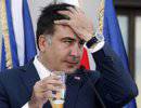 Саакашвили закупает жевательные галстуки