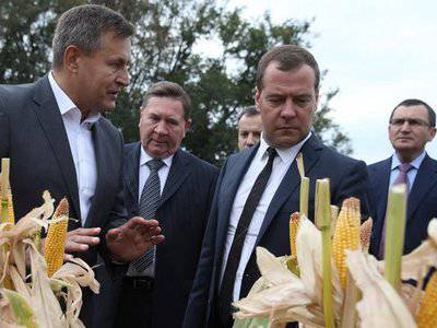 Урожай-2014: санкции по осени считают