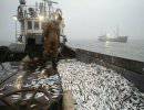 Норвегии придется искать покупателей на 300 тысяч тонн морепродуктов