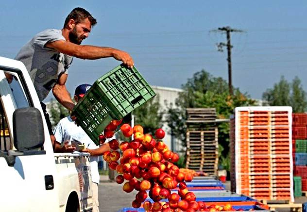 Продовольственное эмбарго России ударило по 9,5 млн европейских фермеров