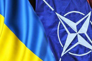 Bloomberg: почему НАТО открещивается от Украины