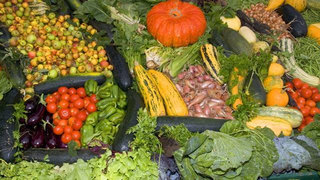 Запрет на украинские продукты. Политический шаг или экономическая безопасность? Запрет на украинские продукты. Политический шаг или экономическая безопасность?